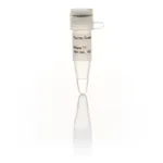 Thermo Fisher Scientific RNase T1 (1000 U/μL), 100,000 units