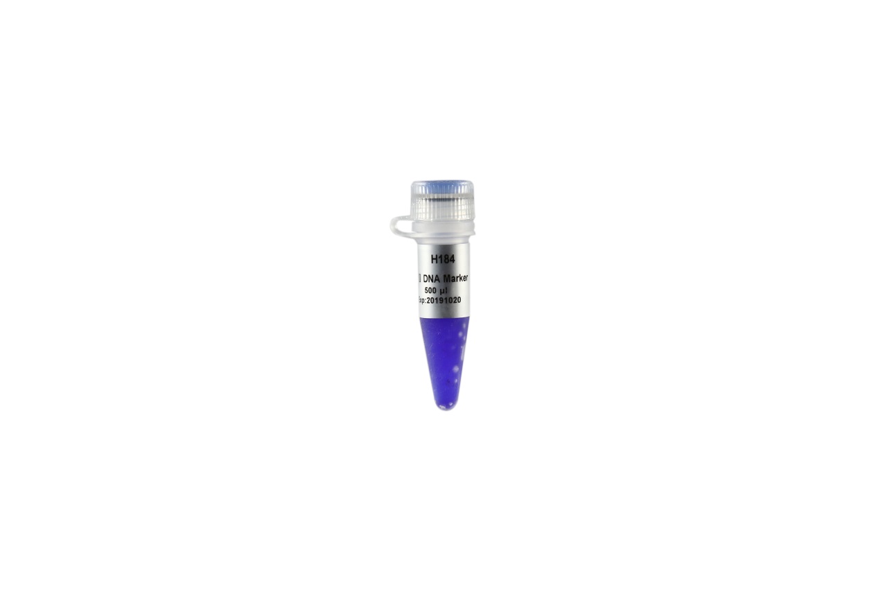Trans2K® Plus II DNA Marker