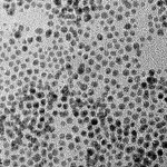 AS ONE Gold(Au) Powder, 금(Au) 분말