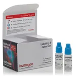 Thermo Fisher Scientific Hoechst 33342 Ready Flow Reagent
