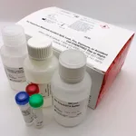 Thermo Fisher Scientific Thiol and Sulfide Quantitation Kit