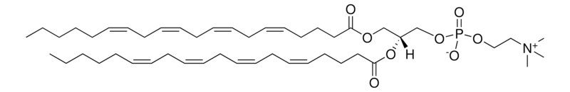 Merck 20:4 (Cis) PC