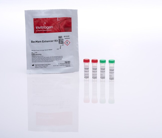 Thermo Fisher Scientific BacMam Enhancer Kit