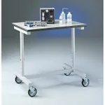 Thermo Fisher Scientific Variable-Height Bench