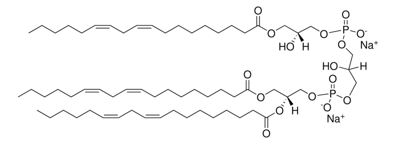Merck Monolyso Heart CA