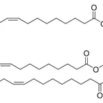 Merck Monolyso Heart CA