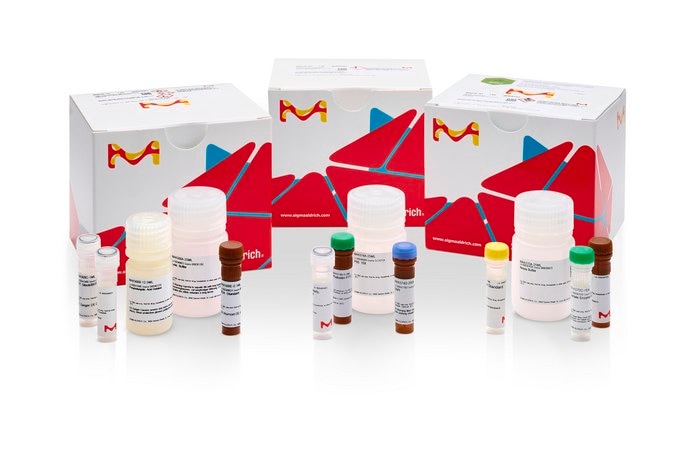 Merck TYROSINASE ASSAY KIT
