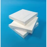 Thermo Fisher Scientific Cleanroom Sticky Notes