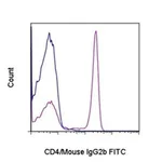 Thermo Fisher Scientific Rat anti-Mouse IgG2b Secondary Antibody, FITC, eBioscience
