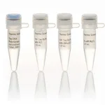 Thermo Fisher Scientific Taq DNA Polymerase, recombinant (1 U/μL)