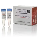 Thermo Fisher Scientific T4 DNA Ligase Buffer