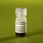 Thermo Fisher Scientific Pierce NHS-Activated Magnetic Beads, 1 mL