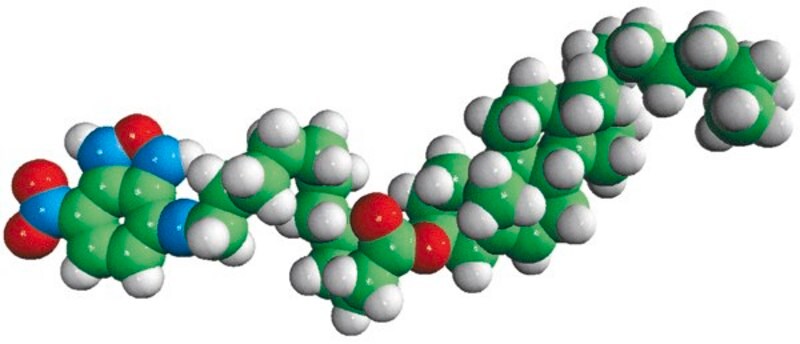 Merck NBD-12 Cholesterol