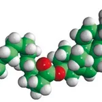 Merck NBD-12 Cholesterol