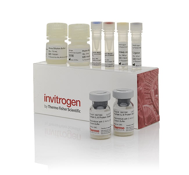 Thermo Fisher Scientific Mouse IL-22 ProQuantum Immunoassay Kit