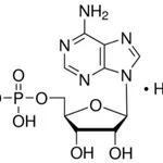 Merck ADENOSINE 5``-MONOPHOSPHATE FREE ACID &