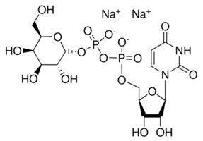 Merck URIDINE 5``-DIPHOSPHOGALACTOSE DISODIUM