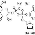 Merck URIDINE 5``-DIPHOSPHOGALACTOSE DISODIUM