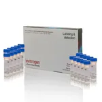 Thermo Fisher Scientific Fura-2, AM, FluoroPure grade - Special Packaging