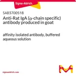 Merck Anti-Rat IgA (alpha-chain specific) antibody produced in goat