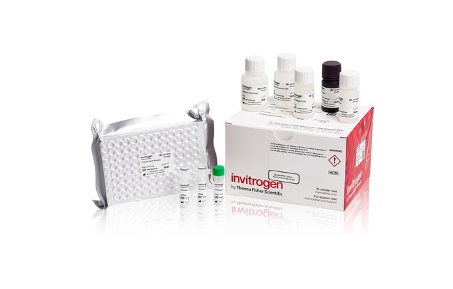 Thermo Fisher Scientific Bovine Progesterone Rapid ELISA Kit