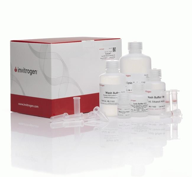 Thermo Fisher Scientific PureLink Total RNA Blood Kit