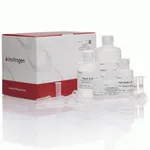 Thermo Fisher Scientific PureLink Total RNA Blood Kit