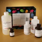 Thermo Fisher Scientific Pierce Fast Western Kit, SuperSignal West Pico, Mouse, 800 mL