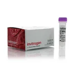 Thermo Fisher Scientific Digitonin (5%)