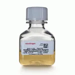 Thermo Fisher Scientific BacMam LRRK2-GFP Wild Type Reagent