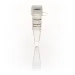 Thermo Fisher Scientific Aminoallyl-UTP Solution (50 mM)