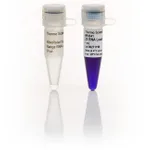 Thermo Fisher Scientific RiboRuler High Range RNA Ladder