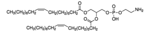 Merck 1,2-DIOLEOYL-SN-GLYCERO-3-PHOSPHOETHANOL