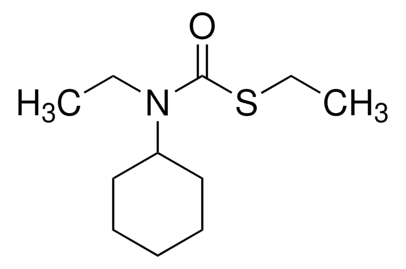 Merck Cycloate