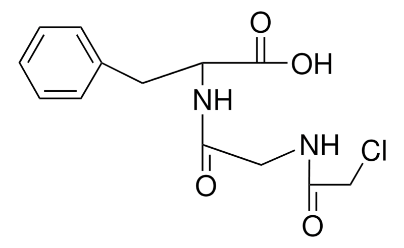 Merck CHLOROACETYLGLYCYL-D,L-PHENYLAL-