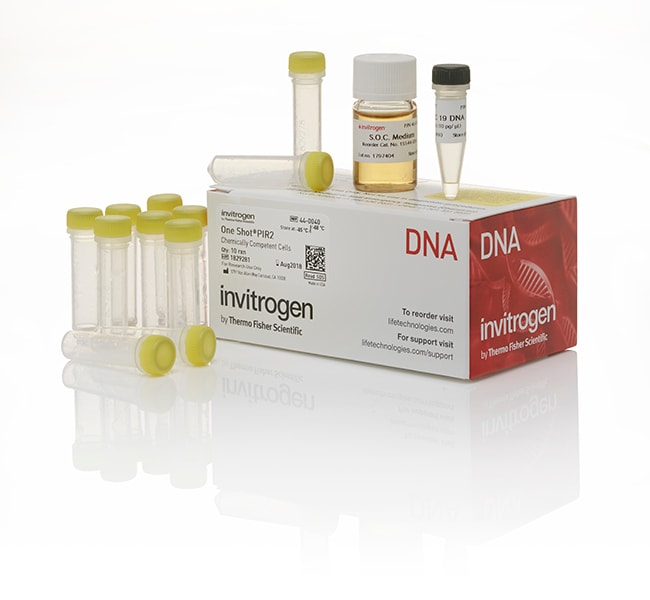 Thermo Fisher Scientific One Shot PIR2 Chemically Competent E. coli
