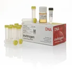 Thermo Fisher Scientific One Shot PIR2 Chemically Competent E. coli