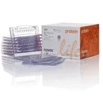Thermo Fisher Scientific Bolt Bis-Tris Plus Mini Protein Gels, 8%, 1.0 mm, WedgeWell format, 10 gels (1 box)
