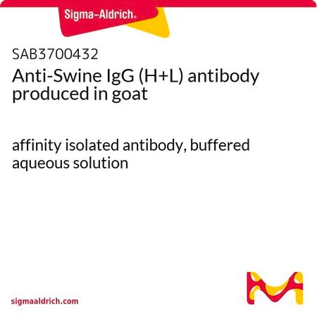 Merck Anti-Swine IgG (H+L) antibody produced in goat