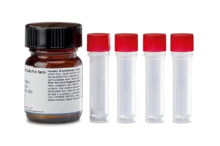 Waters RapiZyme Trypsin, MS Grade, 4/pk with Buffer