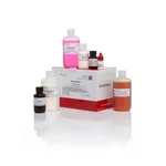 Thermo Fisher Scientific SilverQuest Silver Staining Kit