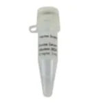 Thermo Fisher Scientific Bovine Serum Albumin (BSA)