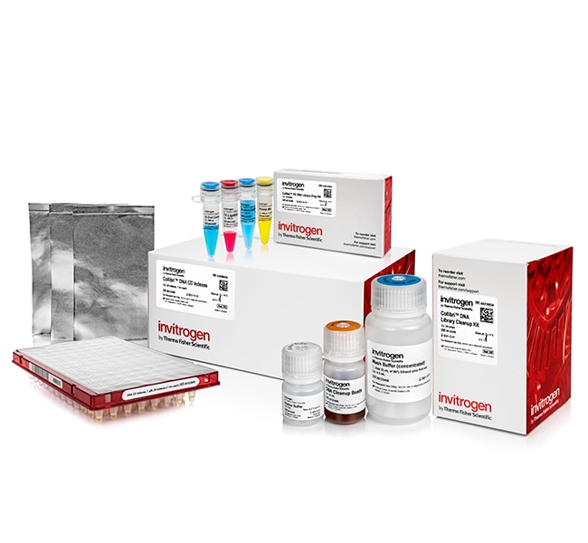 Thermo Fisher Scientific Collibri PS DNA Library Prep Kit for Illumina Systems, with CD indexes, 24 preps