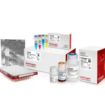 Thermo Fisher Scientific Collibri PS DNA Library Prep Kit for Illumina Systems, with CD indexes, 24 preps