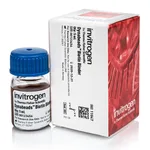Thermo Fisher Scientific Dynabeads Biotin Binder, 5 mL