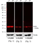 Thermo Fisher Scientific Goat anti-Mouse IgG (H+L) Cross-Adsorbed Secondary Antibody, DyLight 680