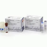 Thermo Fisher Scientific Protein Thermal Shift Dye Kit