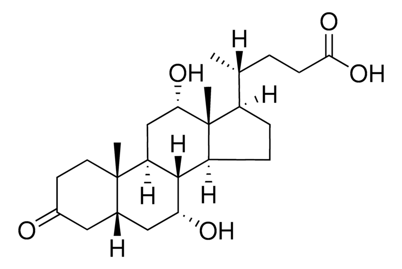 Merck 3-oxocholic acid