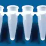 Merck BRAND strips of 8 PCR tubes