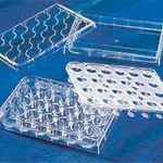 Merck Corning HTS Transwell-24 well permeable supports